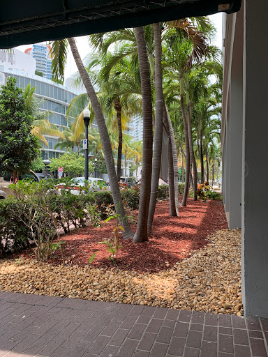 A serene view of palm trees lining a landscaped area in an urban setting.