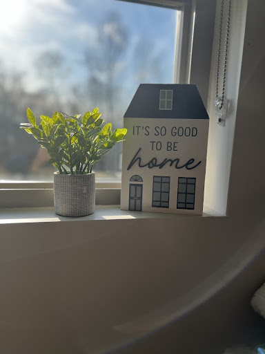 A cozy corner of home with a cheerful plant and a welcoming message.