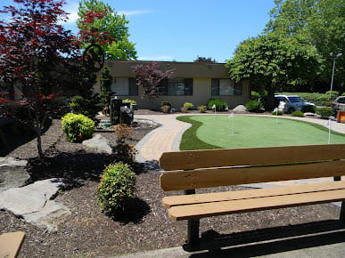 A well-maintained garden with a bench and pathway on a sunny day.
