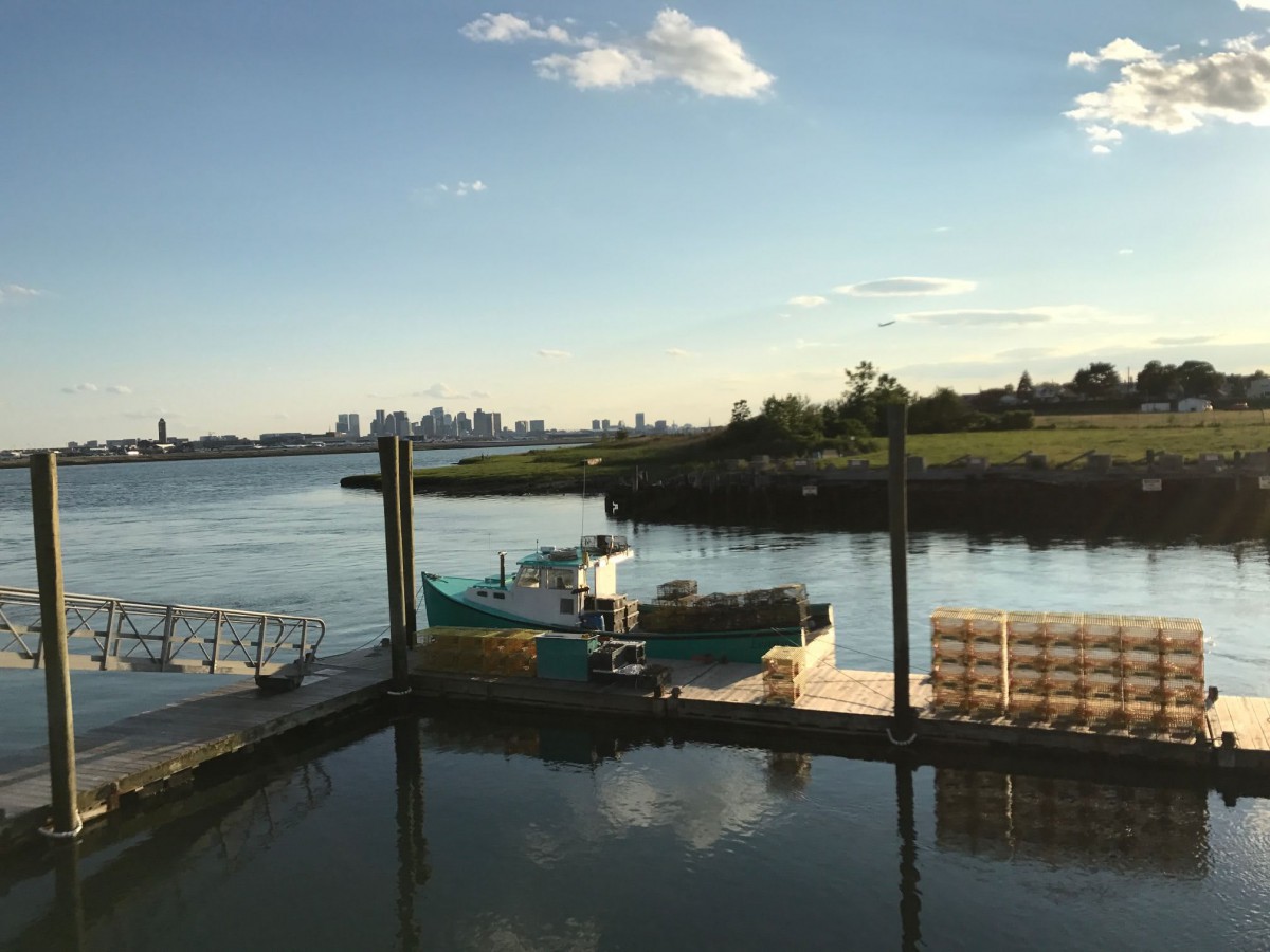 A peaceful scene featuring a boat docked by the river with a city skyline in the distance.