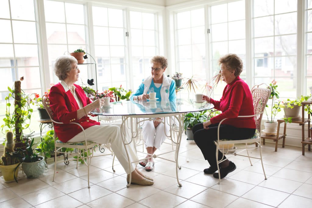 Three senior women enjoying a conversation over tea in a bright, sunlit room.