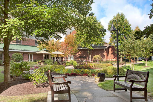A serene park setting featuring benches surrounded by lush greenery and vibrant flowers.
