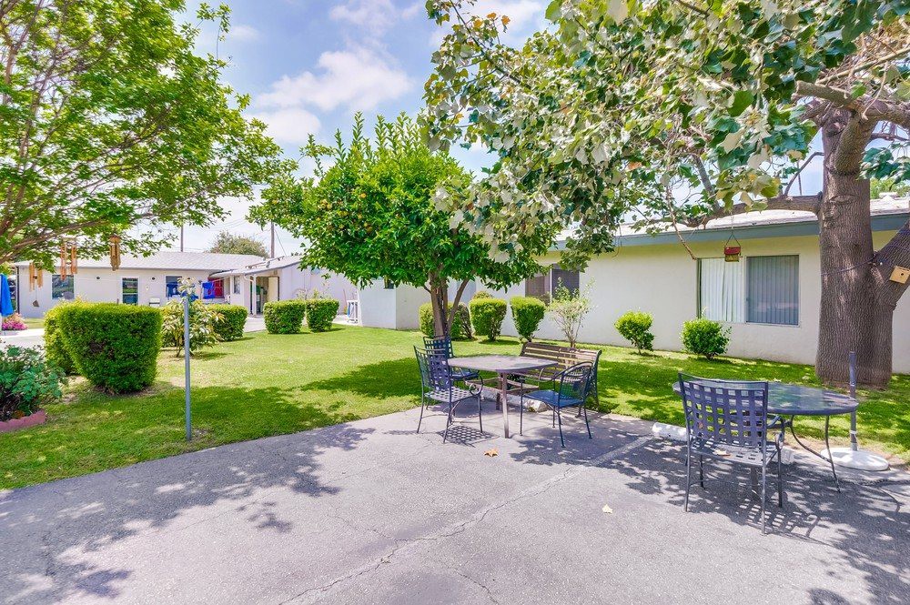 A sunny backyard patio area with a table and chairs surrounded by greenery and trees.