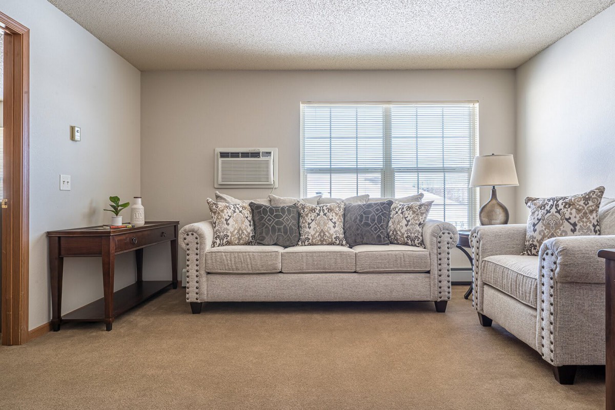 A cozy living room with a sofa and cushions by a window.