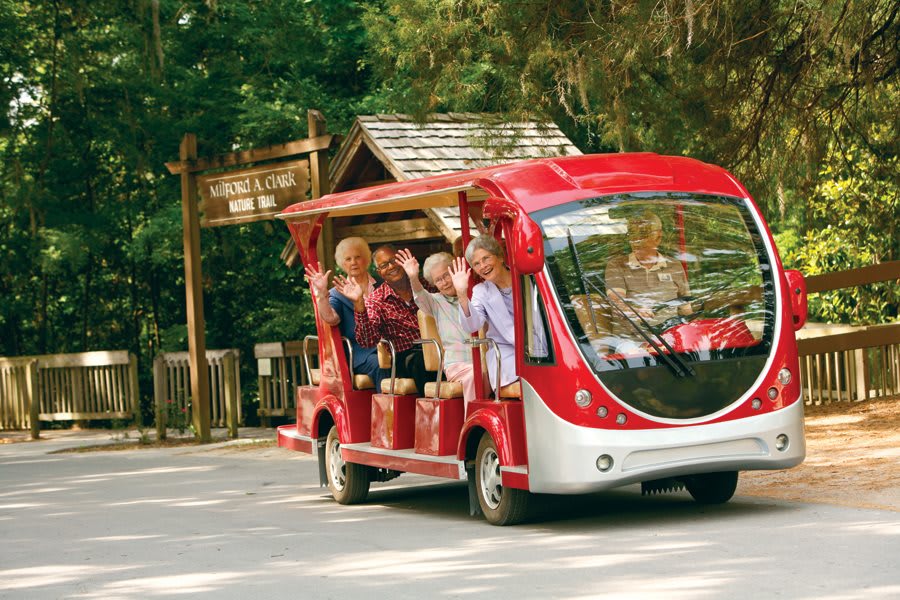 A group of tourists enjoy a ride on an electric tour bus through a scenic wooded area.