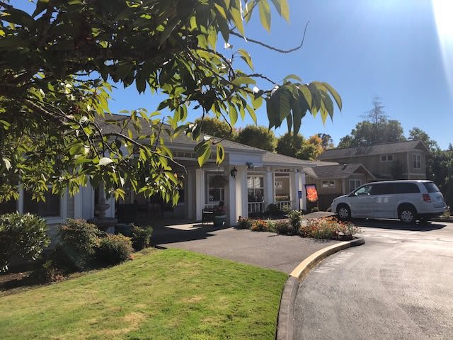 A sunny view of a house with a driveway and garden.