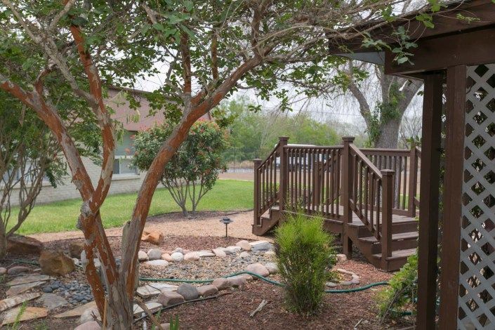 A serene garden scene with a small wooden bridge surrounded by lush greenery.