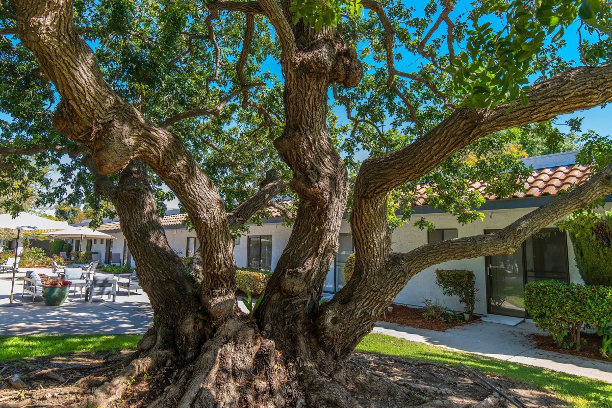 Aasta Assisted Living