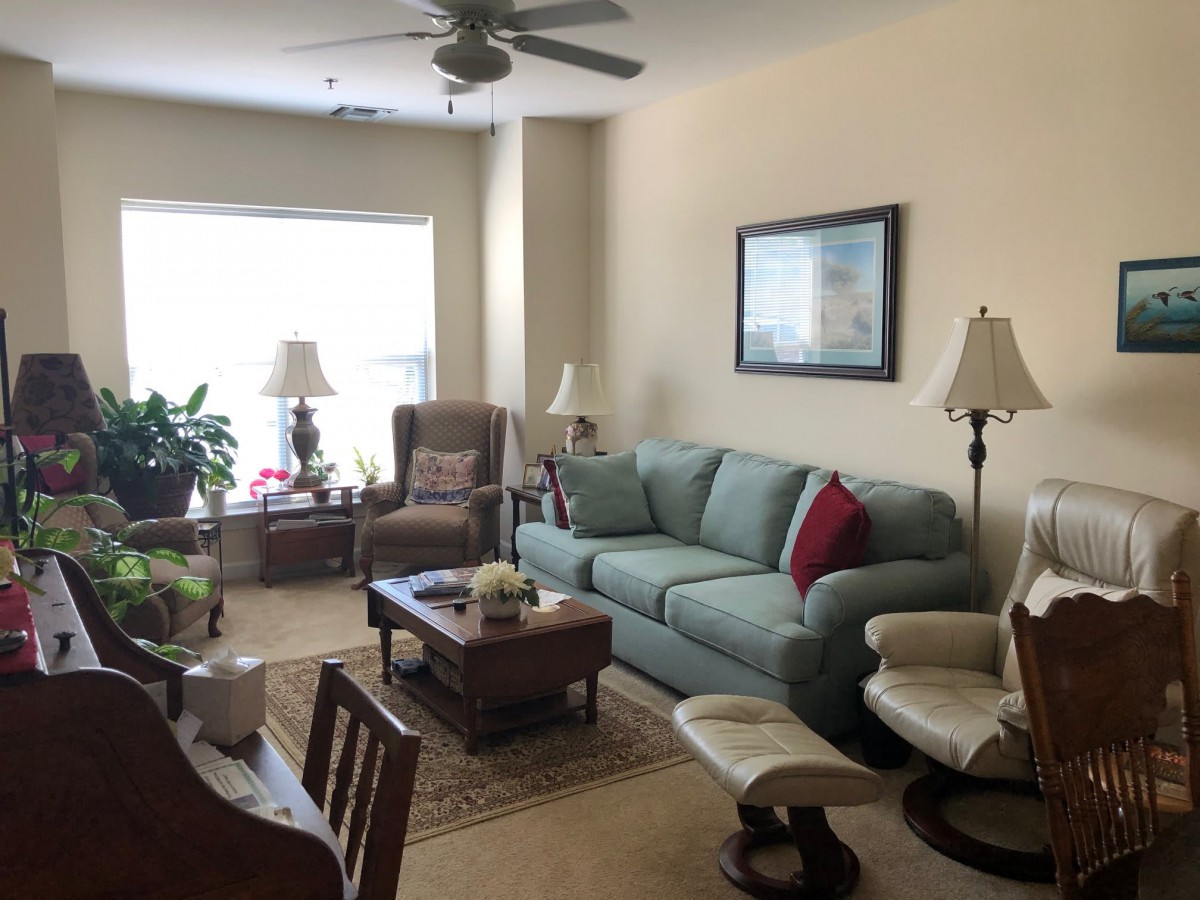 A cozy living room with a sofa, armchair, and coffee table surrounded by lamps and indoor plants.