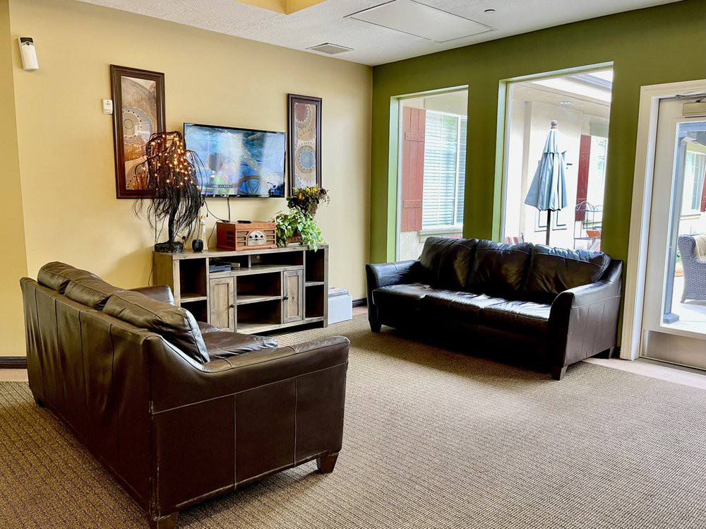 A cozy living room with sofas and a television, decorated with indoor plants and artwork, well-lit by natural light from large windows.