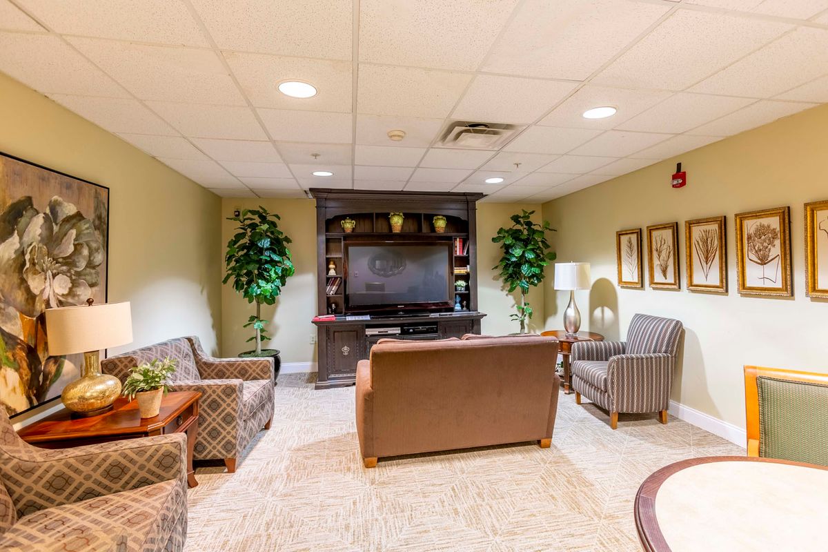 A cozy living room with comfortable seating, a TV, plants, and artwork.