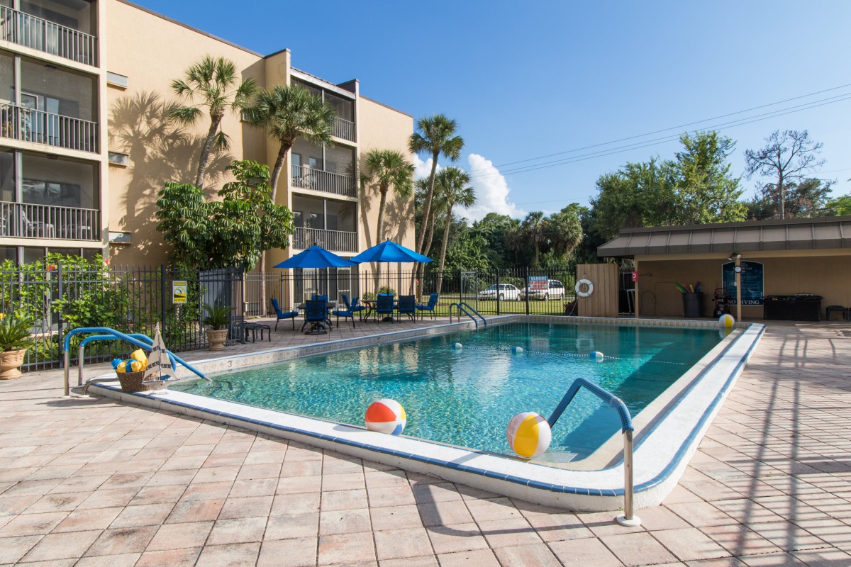 A sunny day at a hotel pool surrounded by palm trees.