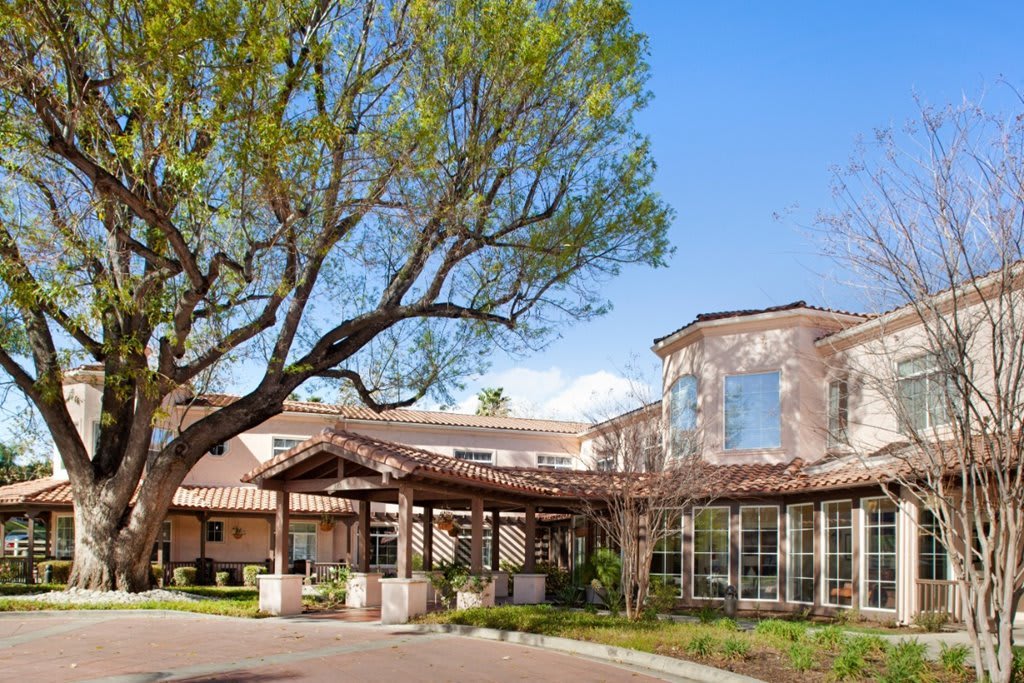 A sunlit building entrance surrounded by greenery and a large tree.
