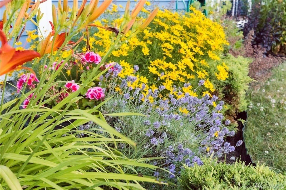A vibrant garden filled with colorful flowers and lush greenery.