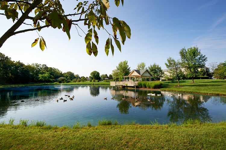 A serene lake surrounded by trees under a clear blue sky.