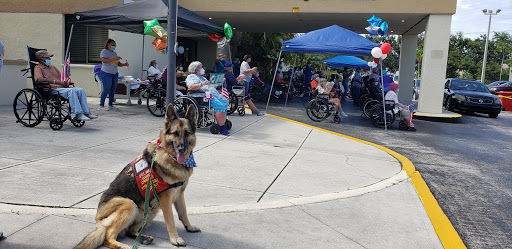 A service dog sits in the foreground as people enjoy a community gathering with festive decorations and wheelchairs in the background.