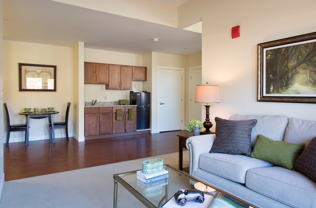 A modern apartment living room with a kitchenette and stylish furnishings.