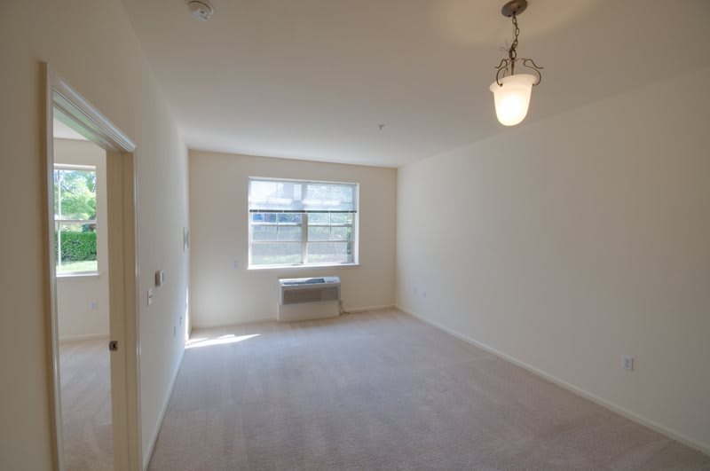 A vacant living room with a large window and a light fixture, featuring carpeted flooring.