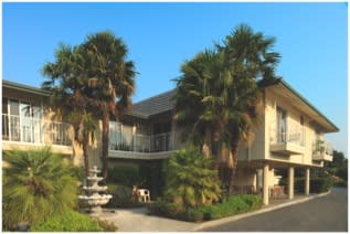 A building surrounded by palm trees with a fountain in front.