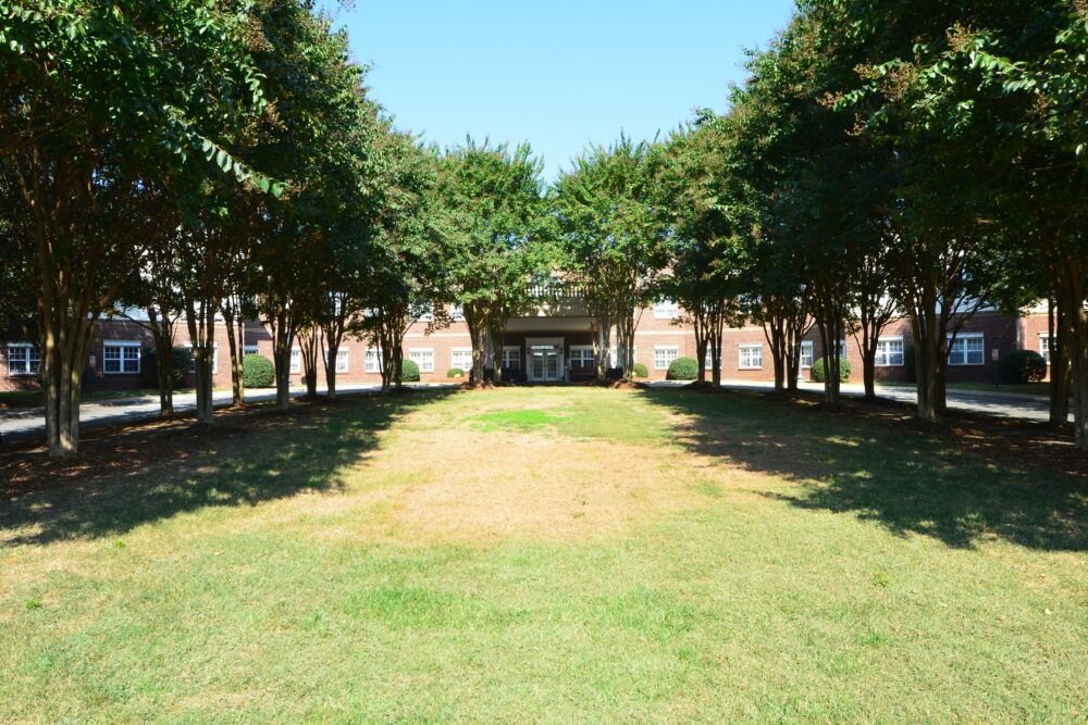 A scenic pathway lined with trees leading to a building.
