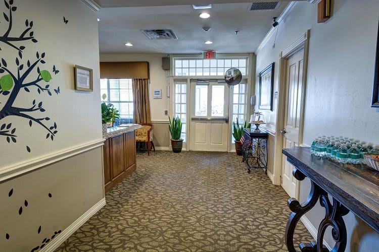 A carpeted hallway with natural light, featuring potted plants and a reception area.