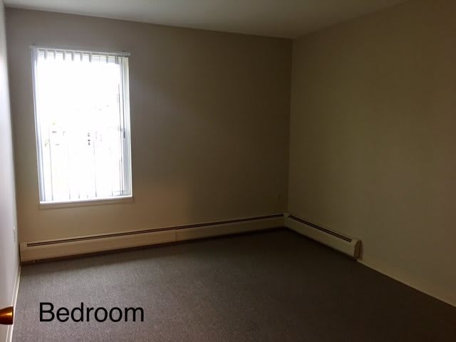 An empty bedroom with a window and carpeted flooring.