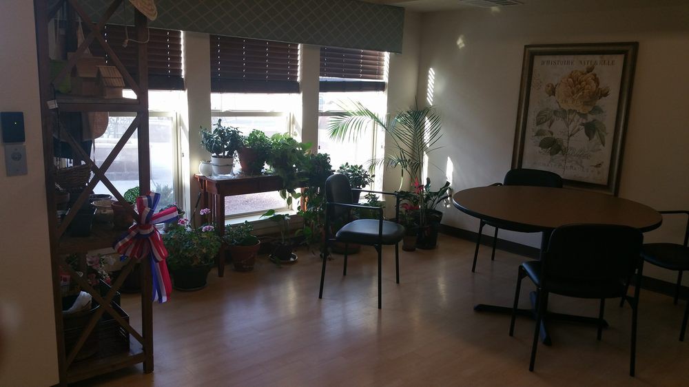 A cozy room with indoor plants near sunlit windows and seating area.