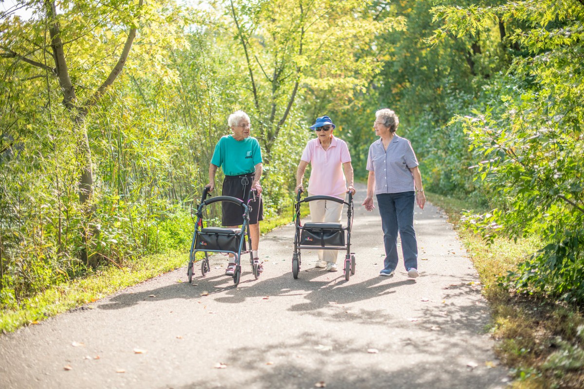 Three seniors enjoying a walk together in a sunny, wooded area.