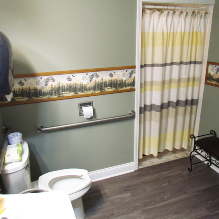 A bathroom interior featuring a toilet, grab bar, shower curtain, and decorative wallpaper border.