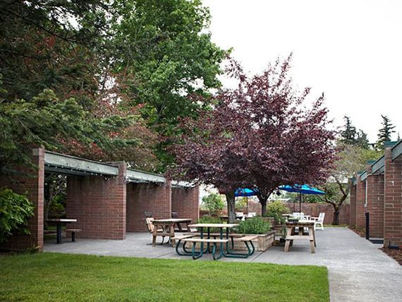 A peaceful outdoor area featuring picnic tables and patio umbrellas surrounded by lush trees and green grass.