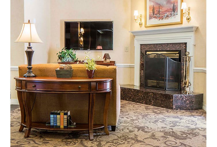 Cozy living room with a fireplace, television, and elegant decor.