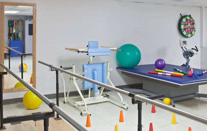 A physical therapy room with parallel bars and various rehabilitation equipment including exercise balls and cones.
