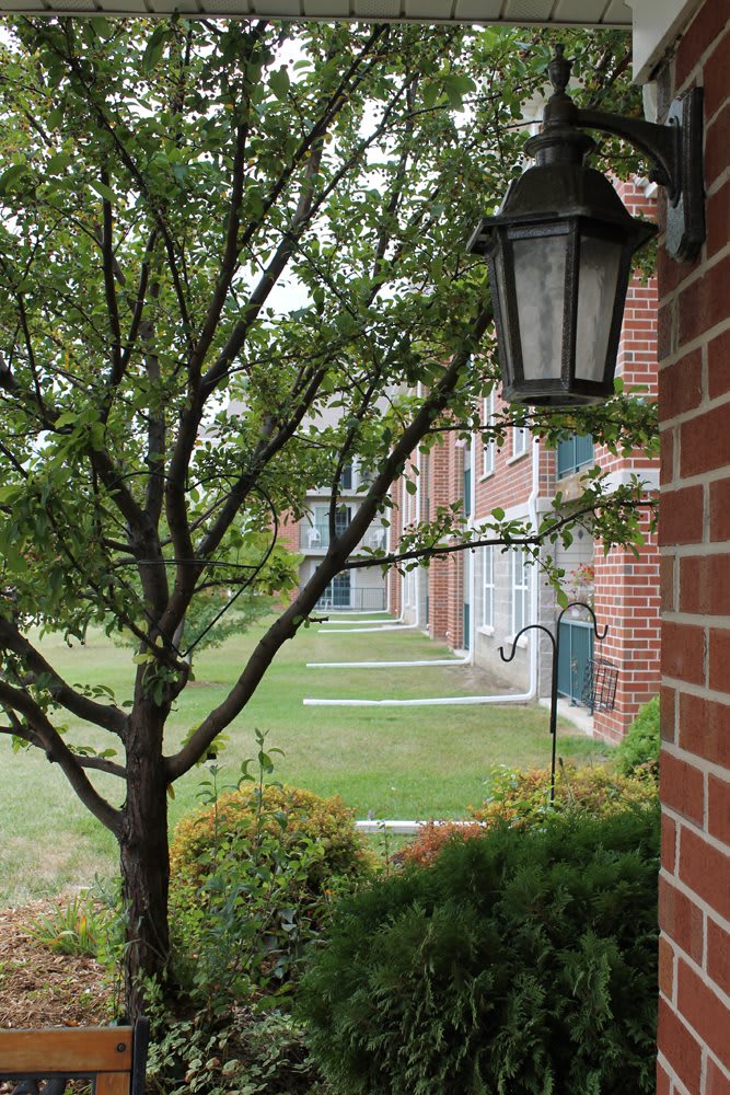 View of a brick building with a tree and lamp in the foreground.