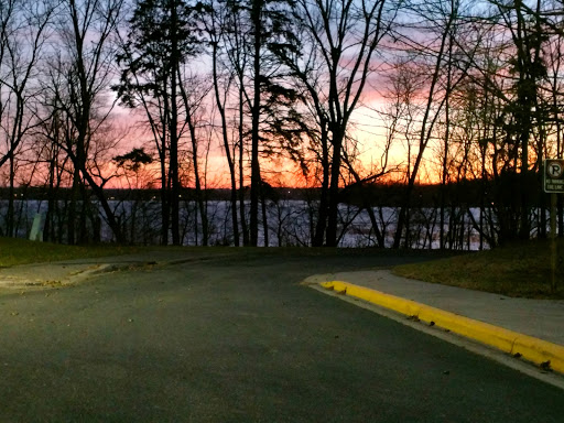 A tranquil sunset view by the water, framed by trees.