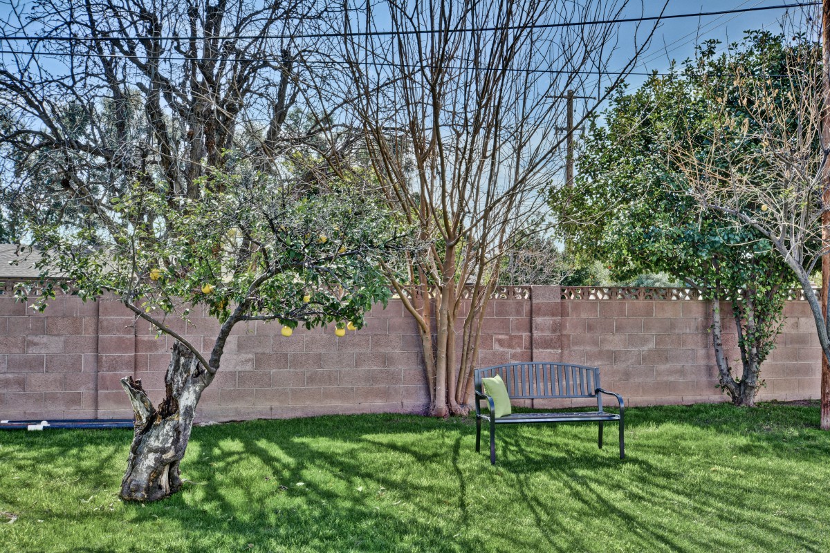 A peaceful garden with a bench under a tree and lush green grass.