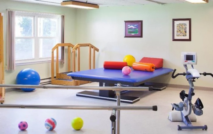 Skyview Rehab And Nursing