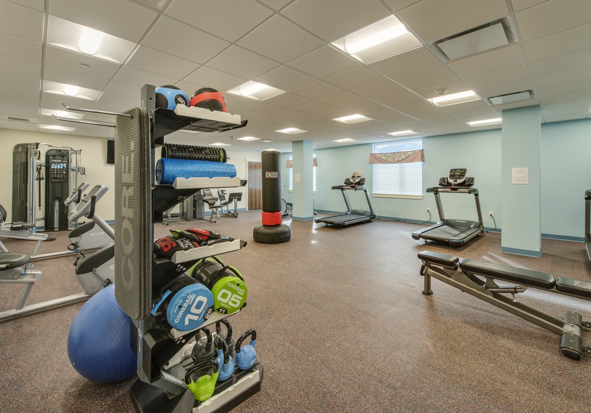 A well-equipped gym room featuring treadmills, exercise balls, and various fitness gear.
