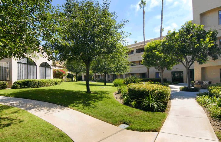 A serene courtyard featuring lush greenery and a winding pathway beside residential buildings.