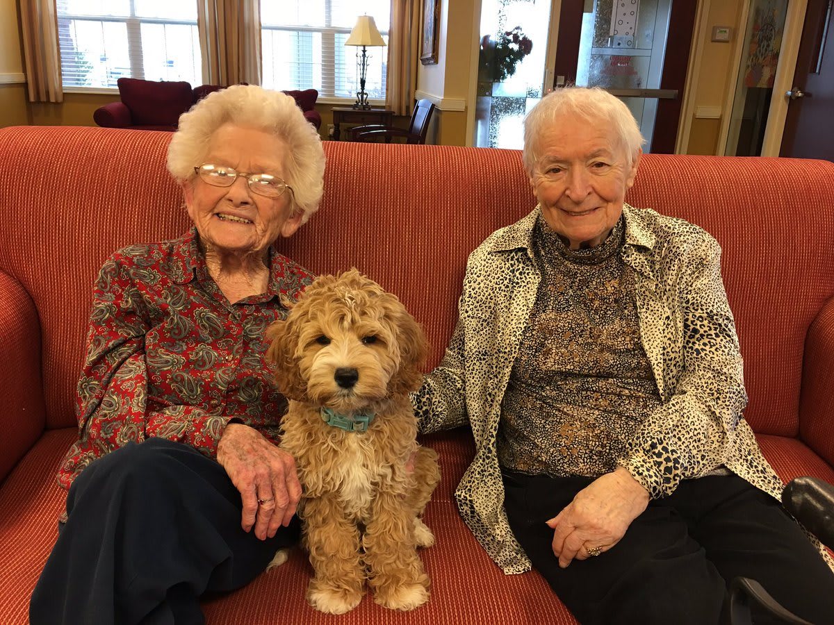 Two elderly women sitting on a couch with a fluffy dog between them, sharing a moment of companionship.