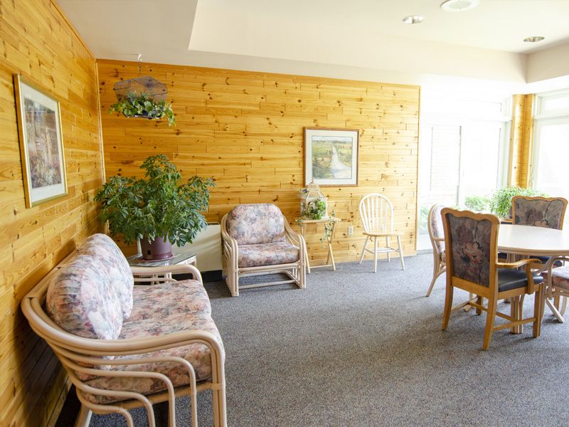 A cozy living room with wooden paneling, comfortable seating, and plants.