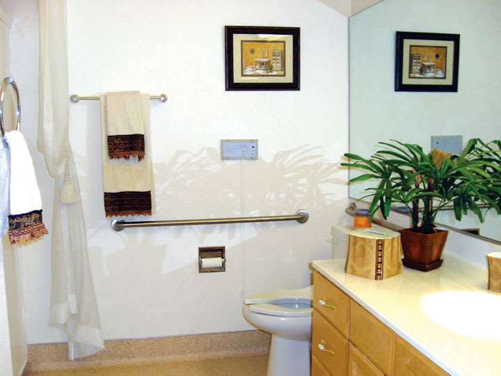 A well-organized bathroom featuring a toilet, grab bar, countertop with a potted plant, and artwork on the wall.