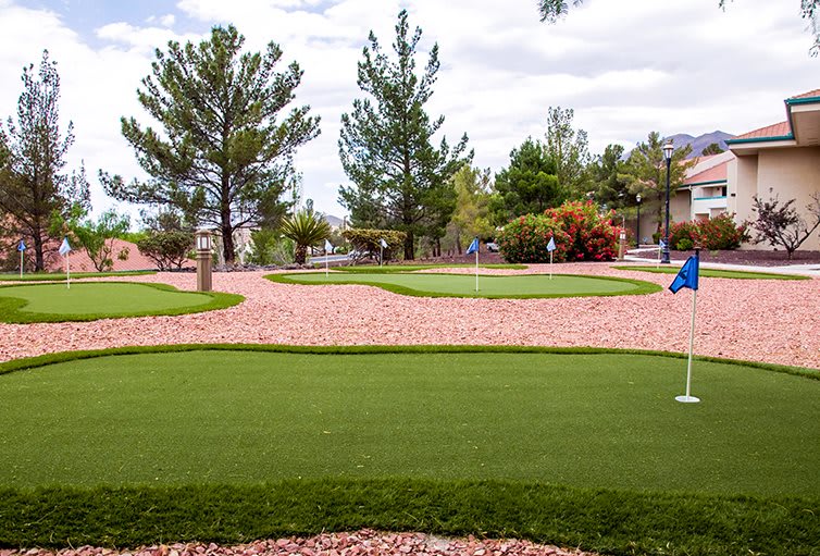 An outdoor putting green surrounded by trees and a landscaped area.