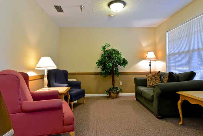 A cozy living room with comfortable seating, a potted plant, and soft lighting.