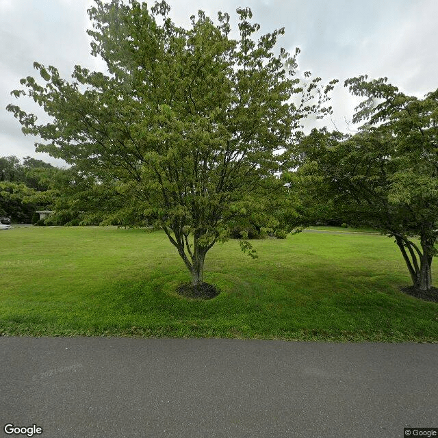 A peaceful view featuring a tree beside a green lawn and a paved road.