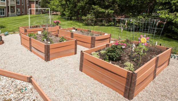 A well-organized outdoor space featuring raised garden beds for planting.