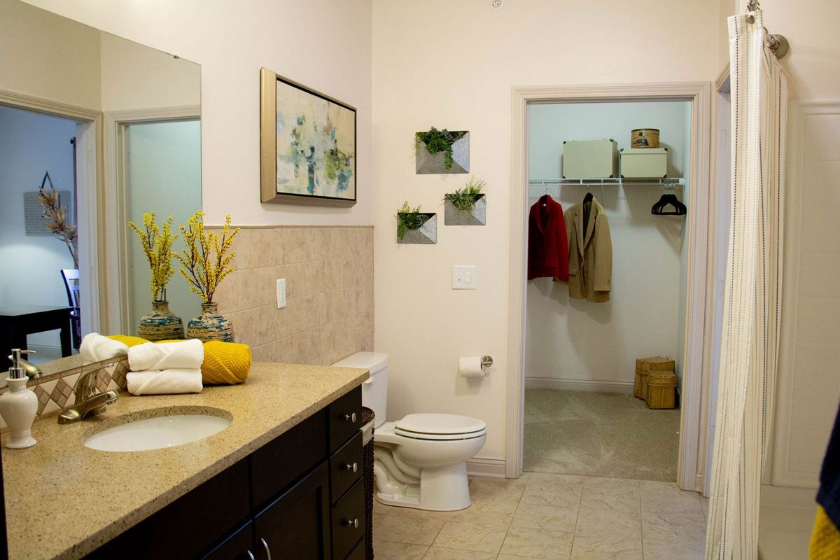 A neatly organized bathroom with a walk-in closet, featuring a toilet, sink, and decorative elements.