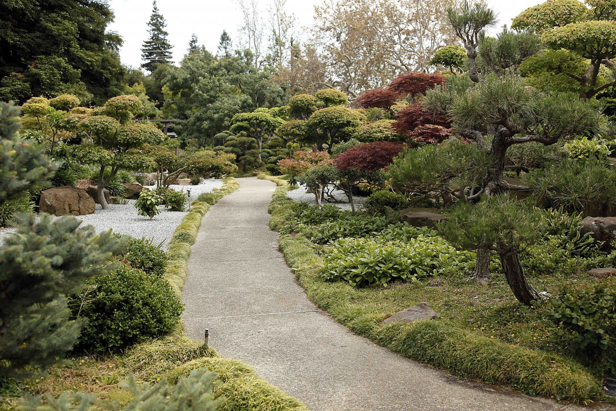 A serene garden pathway surrounded by lush shrubs and trees.