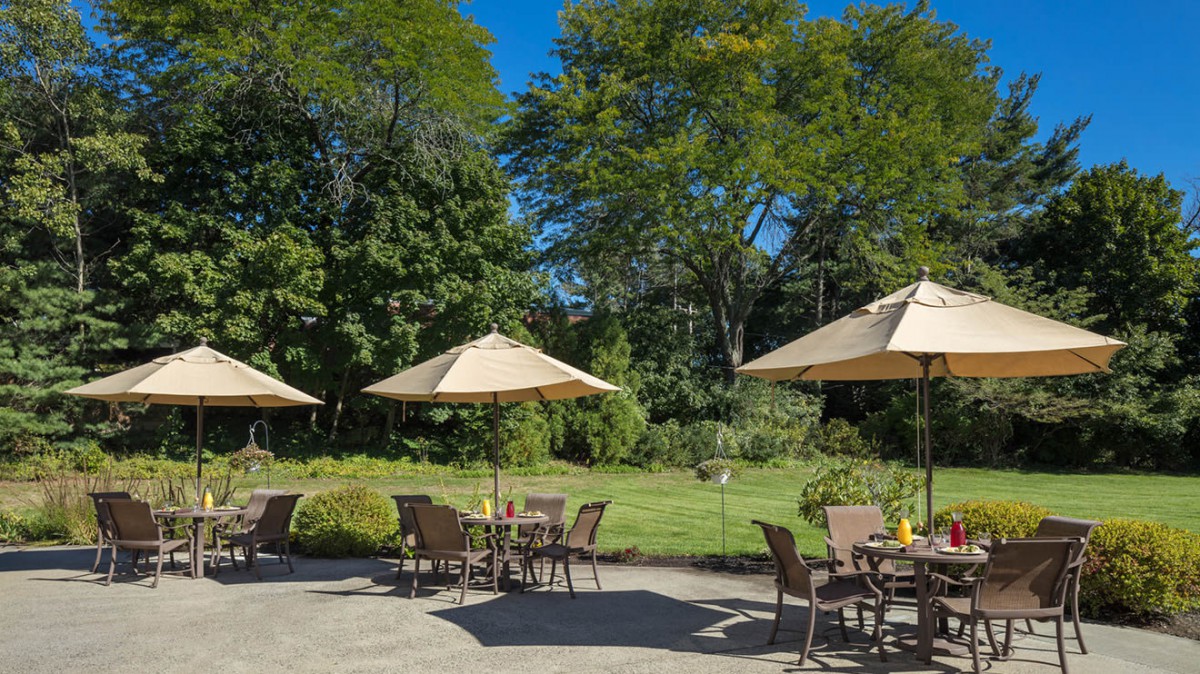 A sunny outdoor patio area with tables, chairs, and umbrellas surrounded by lush greenery.