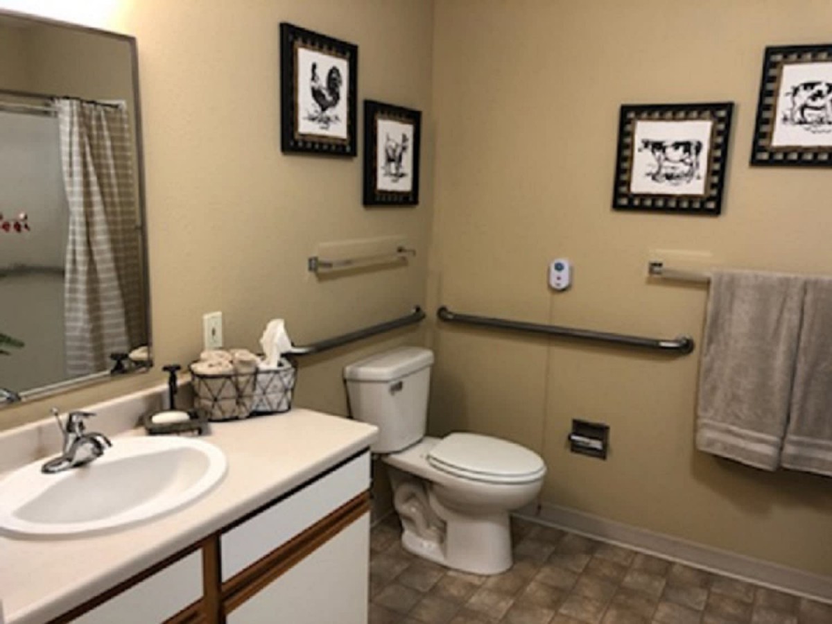 A well-equipped bathroom with handrails and decorative artwork.