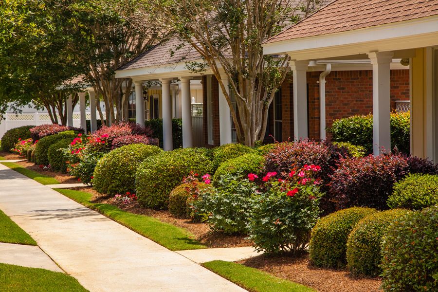 A well-maintained garden with shrubs and flowers lining a pathway in front of a house.